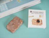 1 - حفر الحشرات: صندوق ألعاب تعليمي للأطفال